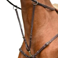 Jump'in Monday Martingale Attachment - Week Collection