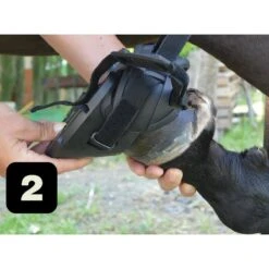 Gatusos Shoes With Pad 17 Gatusos Shoes With Pad -Farm House Tack Store 5e79cc06a8c2f7329d8f15a4c0d0173b