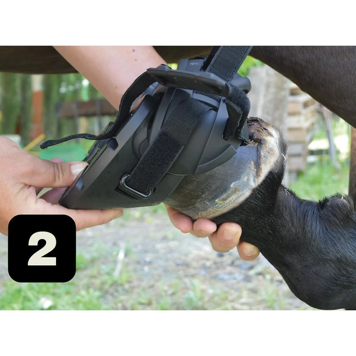 Gatusos Shoes With Pad 8 Gatusos Shoes With Pad - Image 6