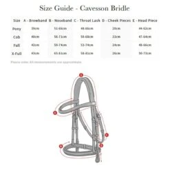 LeMieux Arika Cavesson Bridle 9 LeMieux Arika Cavesson Bridle -Farm House Tack Store 5eb7e5c9 804e 4eec bb27 9ba67094d531
