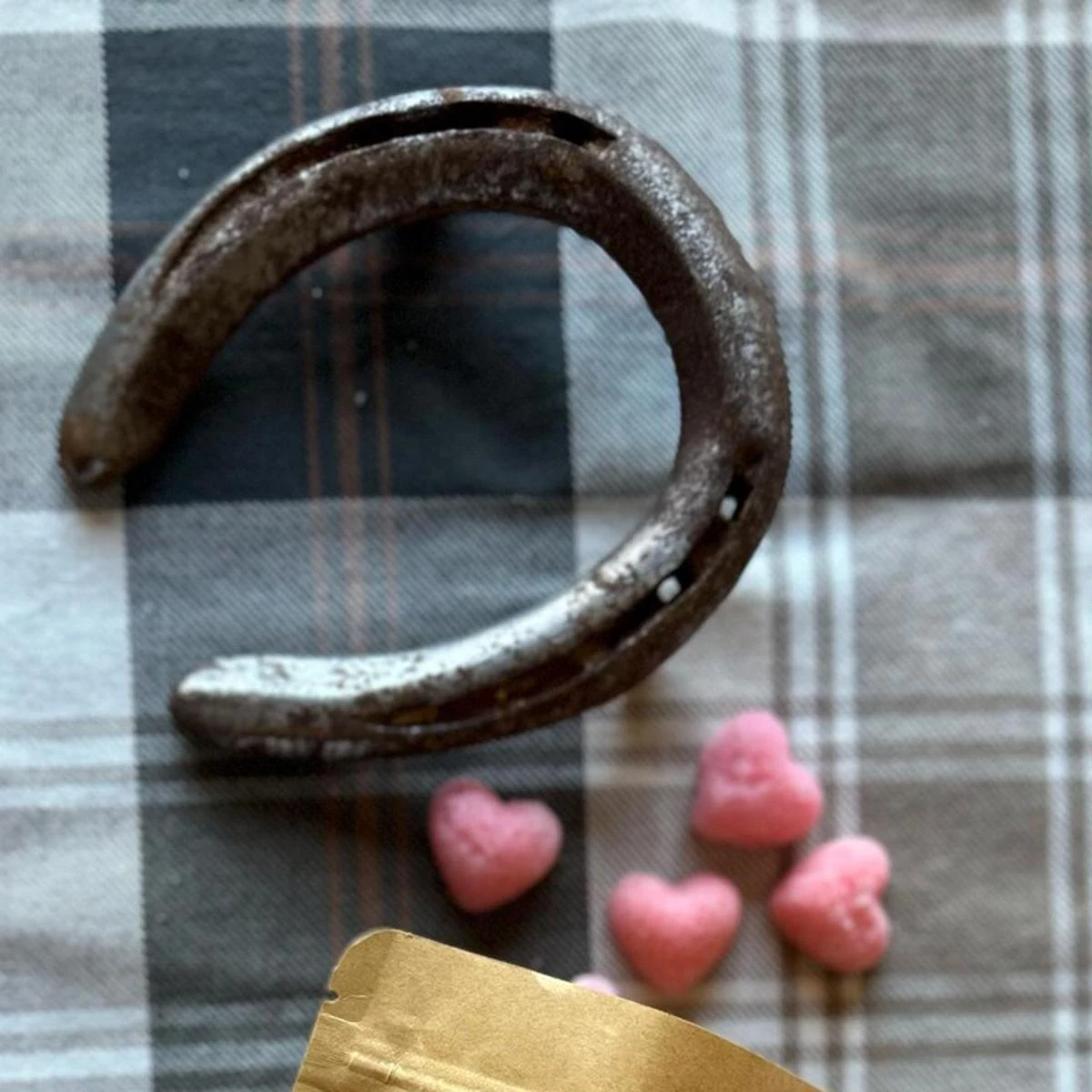 Dapper Darling Horse Treats 14 Dapper Darling Horse Treats - Image 12