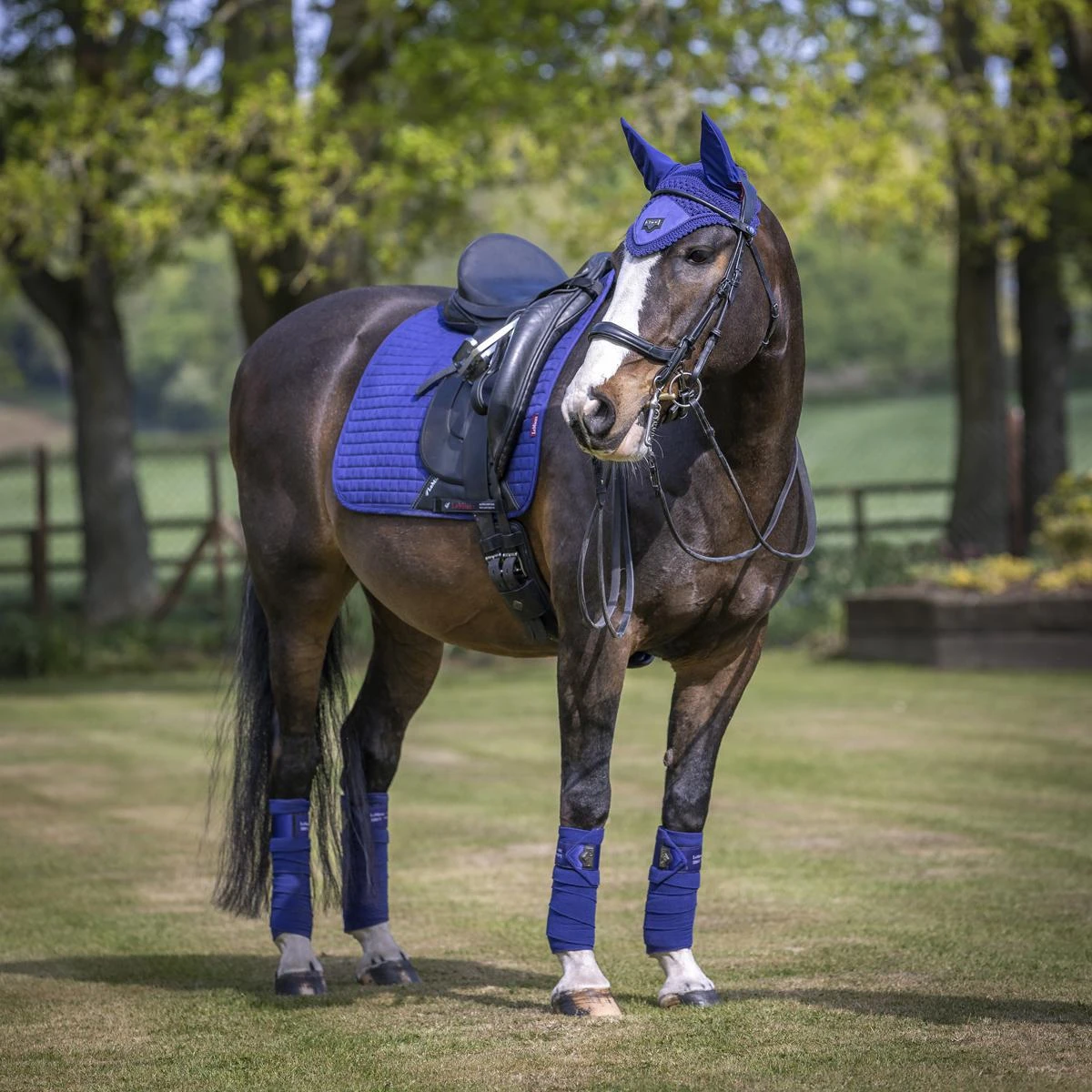 LeMieux Suede Dressage Square Pad 13 LeMieux Suede Dressage Square Pad - Image 11