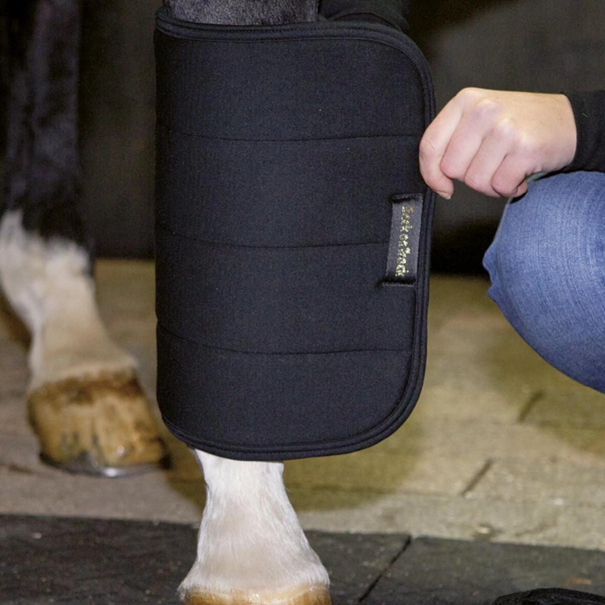 Back On Track Therapeutic No Bow Leg Wraps 4 Back On Track Therapeutic No Bow Leg Wraps - Image 2