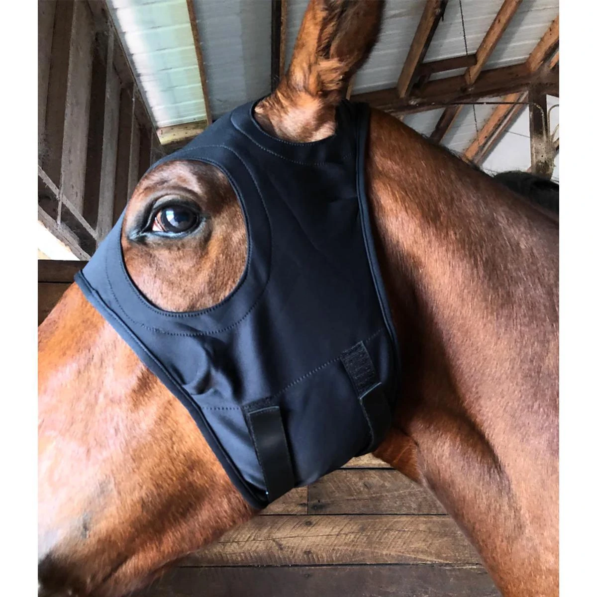 Liquid Titanium Mask 4 Liquid Titanium Mask - Image 2