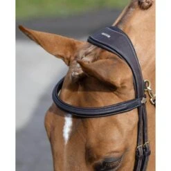 LeMieux Kudos Work Bridle 10 LeMieux Kudos Work Bridle -Farm House Tack Store 71bdb78c96f7572db8ded2edbdcc6f59