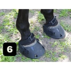 Gatusos Shoes With Pad 21 Gatusos Shoes With Pad -Farm House Tack Store 7282fa2ec2fae49a0390f56344f4e230