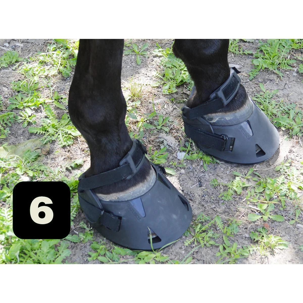 Gatusos Shoes With Pad 12 Gatusos Shoes With Pad - Image 10