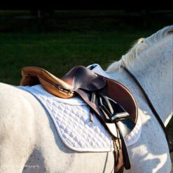ThinLine Trifecta Cotton Half Pad -Farm House Tack Store 7306 trifecta.cotton.half .pad wht riding 2 c94b90dd 7687 4ff5 a4be bd02f86b0a77