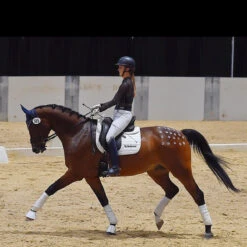 ThinLine Trifecta Cotton Half Pad -Farm House Tack Store 7306 trifecta.cotton.half .pad wht riding 8bd1e802 fe4c 4fe3 86f8 4999ada85037