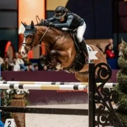 Seaver Safefit Airbag Vest 15 Seaver Safefit Airbag Vest -Farm House Tack Store 7369dda0 82fe 4d10 95be c8640948db9f