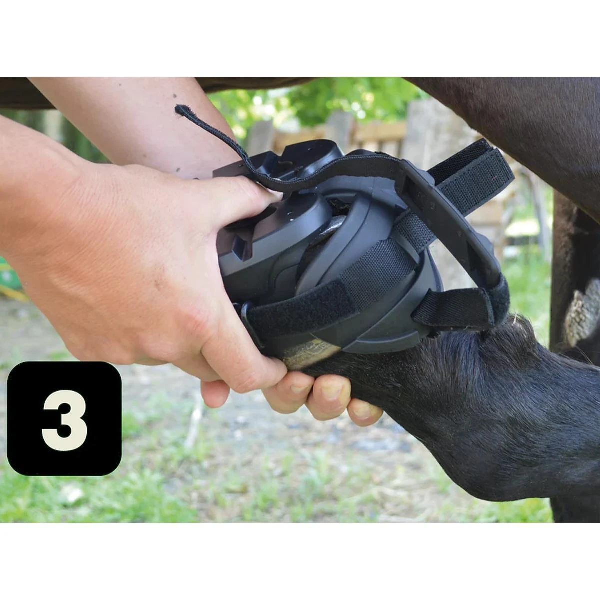 Gatusos Shoes With Pad 9 Gatusos Shoes With Pad - Image 7