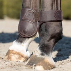 LeMieux Capella Fetlock Boots -Farm House Tack Store 7460fa06c7cba28b1325029f074c6474