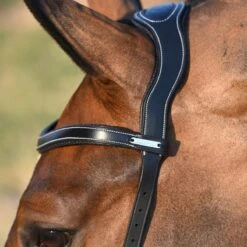 Jump'in Bitless Bridle - One Collection -Farm House Tack Store 7920792d 46d2 4fa9 a17b 41b40991cace