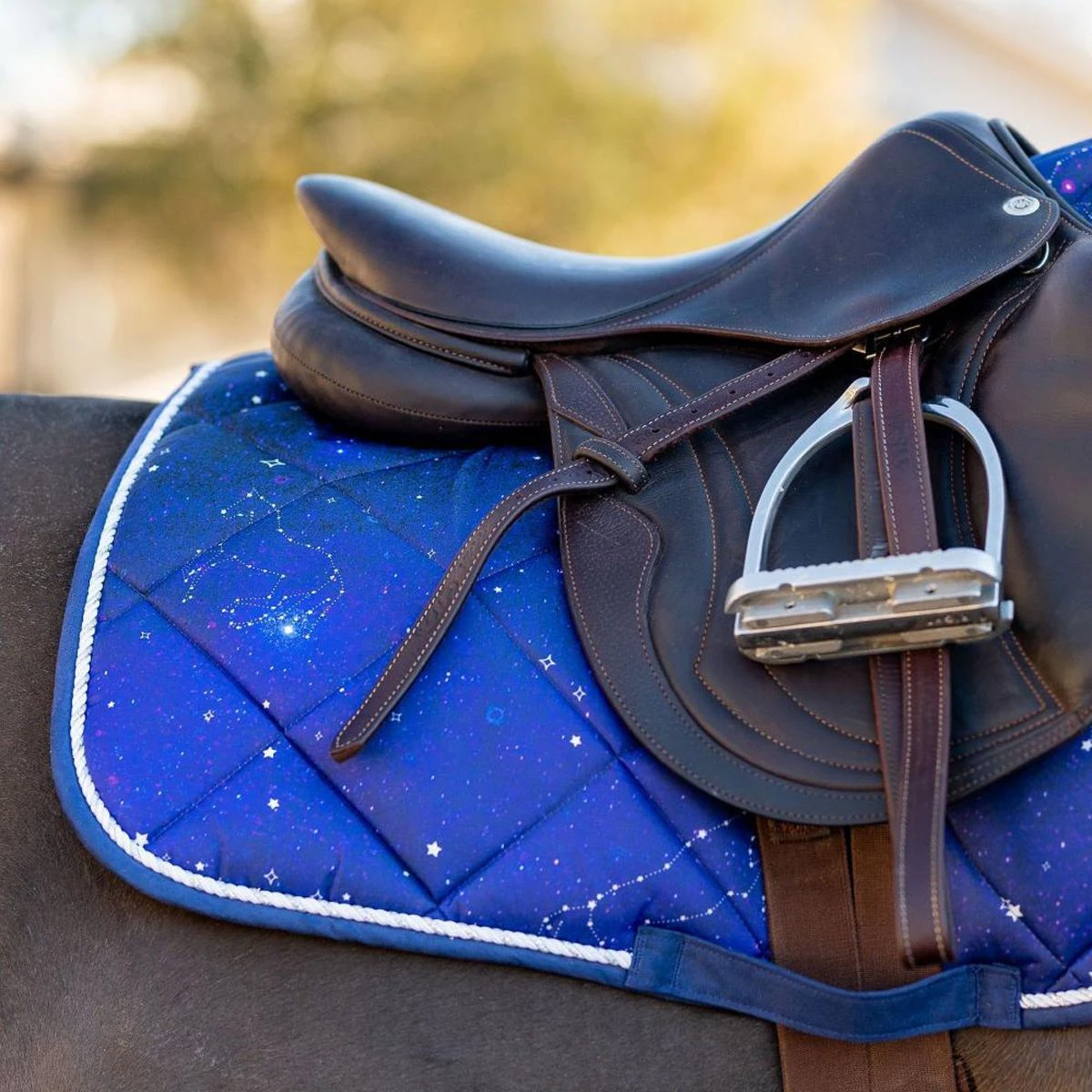 Dapplebay Constellation Pony Saddle Pad 3 Dapplebay Constellation Pony Saddle Pad
