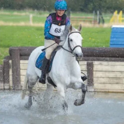 Number Bib 7 Number Bib -Farm House Tack Store 8081 Shires Number.Bib In.Use