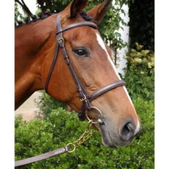 Nunn Finer Newmarket Shank 9 Nunn Finer Newmarket Shank -Farm House Tack Store 81 2T