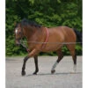 Waldhausen Lunging Aid -Farm House Tack Store 8104604 Waldhausen Lunging.Aid LS