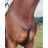 Nunn Finer All Purpose Elastic Breastplate -Farm House Tack Store 84 2T nunn.finer all.purpose.elastic.breastplate 4 havanna