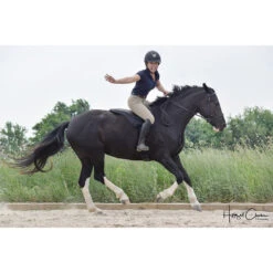 ThinLine Trifecta Comfort Bareback Saddle Pad 11 ThinLine Trifecta Comfort Bareback Saddle Pad -Farm House Tack Store 8880 ThinLine rider