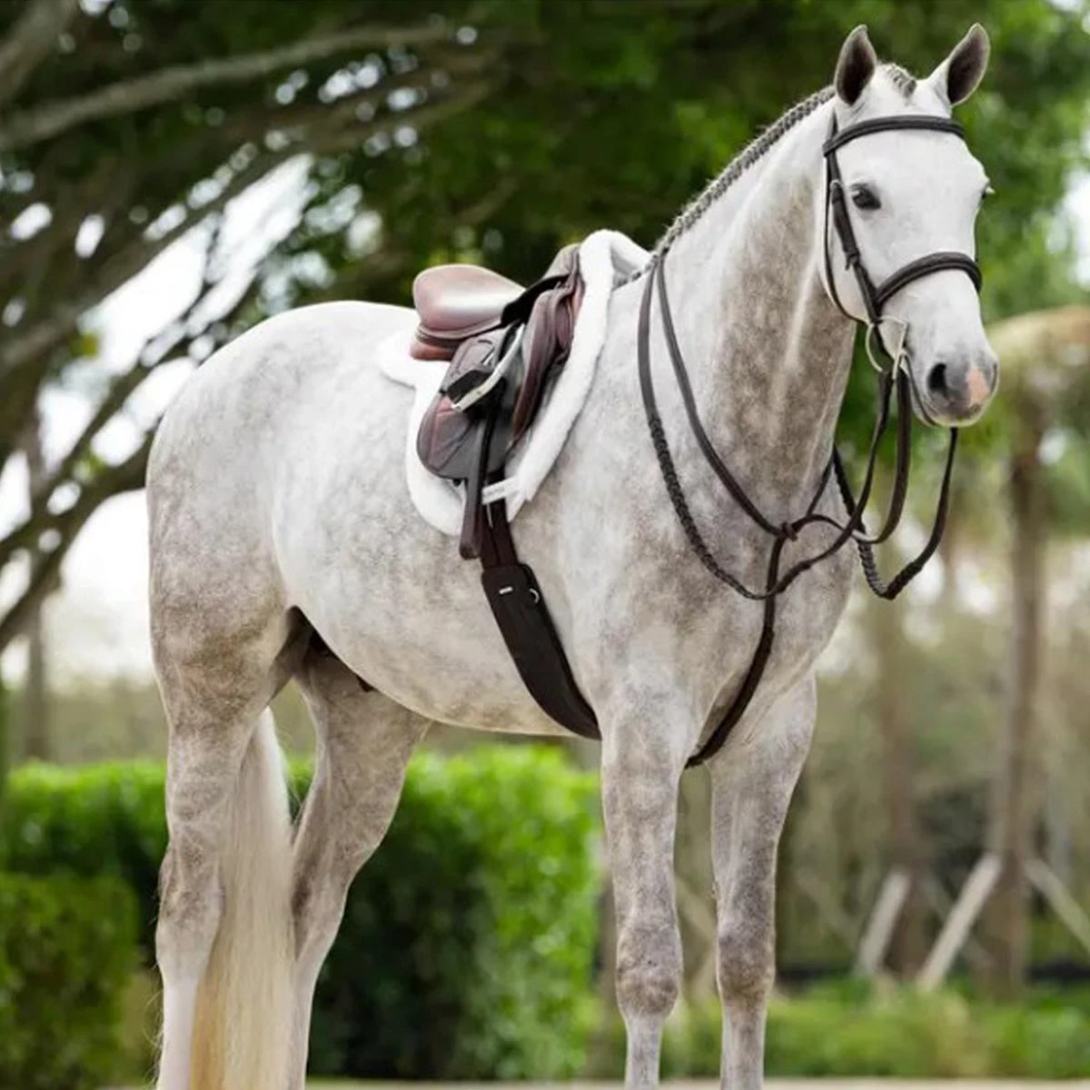 LeMieux Merino+ ProSorb Hunter Pro Saddle Pad 4 LeMieux Merino+ ProSorb Hunter Pro Saddle Pad - Image 2