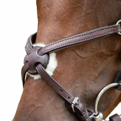 Nunn Finer Figure Eight Bridle 18 Nunn Finer Figure Eight Bridle -Farm House Tack Store 8c983441 62eb 40f5 94fa 07e609db8186