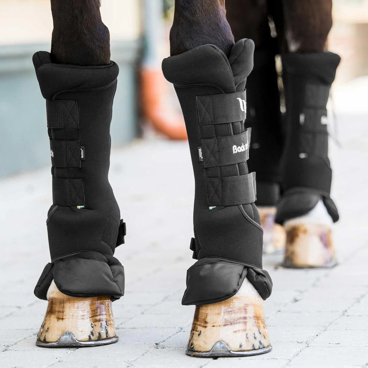 Back On Track Royal Quick Wraps Deluxe 12 Back On Track Royal Quick Wraps Deluxe - Image 10