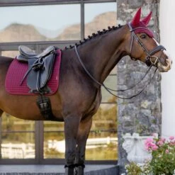 LeMieux Cotton Dressage Square Pad -Farm House Tack Store 924c86fb 42d8 4df9 a315 35d5abd2ae0a