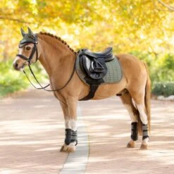 LeMieux Mini Suede Close Contact Square Pad 24 LeMieux Mini Suede Close Contact Square Pad -Farm House Tack Store 95cb1ef6 cb19 4f38 80e8 01c4ef78eec4