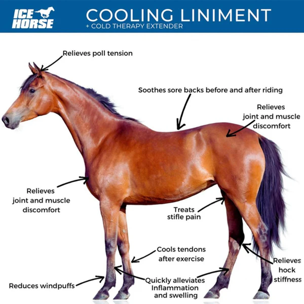 Ice Horse Cooling Liniment And Cold Therapy Extender 4 Ice Horse Cooling Liniment And Cold Therapy Extender - Image 2