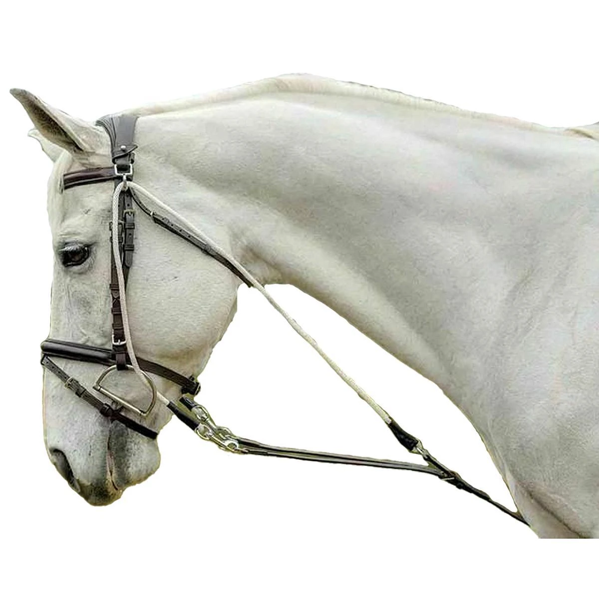 Avignon De Gogue Training Aid 3 Avignon De Gogue Training Aid