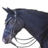 Jump'in Patent Double Bridle - Week Collection 1 Jump'in Patent Double Bridle - Week Collection -Farm House Tack Store 9f3227f4f3ec6784d4db33a56f0d5475