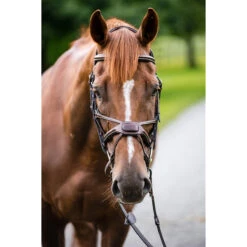 Nunn Finer Arianna Figure 8 Bridle 15 Nunn Finer Arianna Figure 8 Bridle -Farm House Tack Store ARIANNA 3T nunn.finer .arianna.figure.8.bridle 6