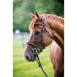 Nunn Finer Arianna Figure 8 Bridle 14 Nunn Finer Arianna Figure 8 Bridle -Farm House Tack Store ARIANNA 3T nunn.finer .arianna.figure.8.bridle 7