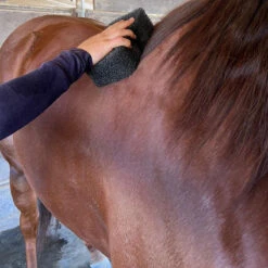 Epona Tiger's Tongue Horse Groomer -Farm House Tack Store Apona Tigers.Tongue Horse.Groomer.3