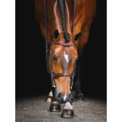 Equiline Scott Stewart Hunter Bridle -Farm House Tack Store BJ150 EQline Scott.Stewart.Hunter.Bridle Brown IRL