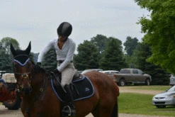 Ogilvy Jump Profile Pad - Custom 9 Ogilvy Jump Profile Pad - Custom -Farm House Tack Store DSC 0833 700466