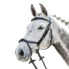 Prestige 3E143 Bridle With Double Drop Noseband 2 Prestige 3E143 Bridle With Double Drop Noseband -Farm House Tack Store E143 Prestige Double.Drop .Noseband.Bridle