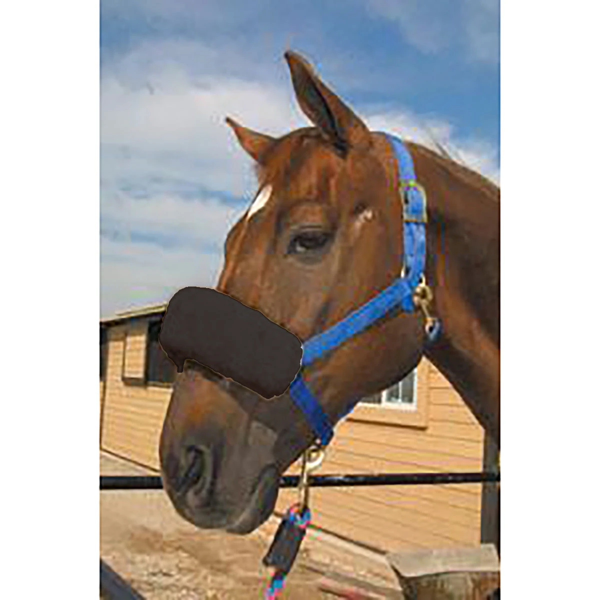 ECP Halter Fleece Noseband Cover 4 ECP Halter Fleece Noseband Cover - Image 2