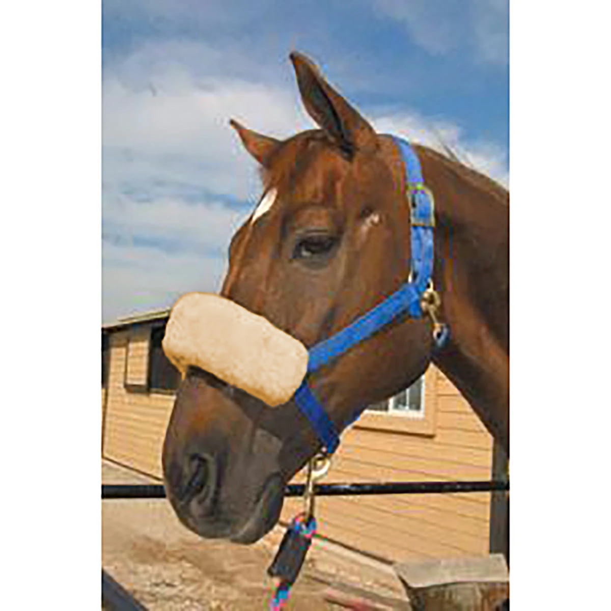 ECP Halter Fleece Noseband Cover 6 ECP Halter Fleece Noseband Cover - Image 4
