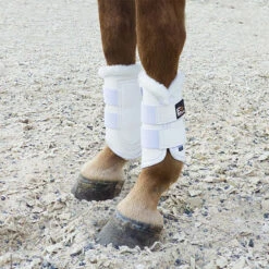 EHI Pro Series Horse & Pony Boots 7 EHI Pro Series Horse & Pony Boots -Farm House Tack Store EHI Pro.Series.Boots Wht 00