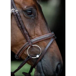 Equiline Fancy Stitched Noseband 7 Equiline Fancy Stitched Noseband -Farm House Tack Store Equiline Fancy.Stitched.Noseband.1 Brown