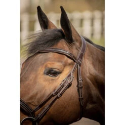 Penelope Smoothie Bridle 8 Penelope Smoothie Bridle -Farm House Tack Store FrenchEq 301604218 smoothiebridle.havana4