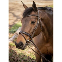 Penelope Smoothie Bridle 11 Penelope Smoothie Bridle -Farm House Tack Store FrenchEq 301604218 smoothiebridle.havana f6226b8e fc7a 4b52 a171 d66925e302bd