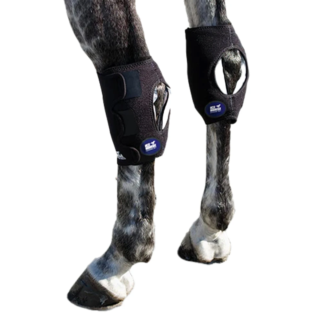 Ice Horse Hock Wrap 3 Ice Horse Hock Wrap