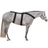 Ice Horse Back Blanket 2 Ice Horse Back Blanket -Farm House Tack Store IH8000V MacKinnon IH.Back .Blanket