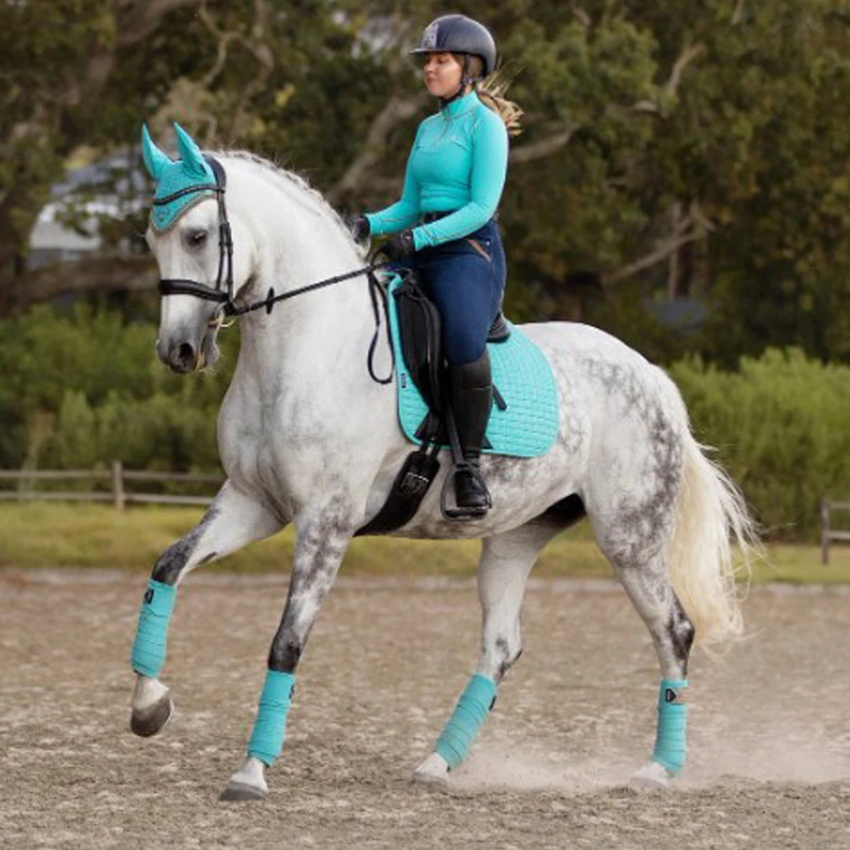 LeMieux Classic Polo Bandages 4 LeMieux Classic Polo Bandages - Image 2