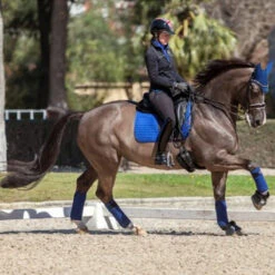 LeMieux Classic Polo Bandages 26 LeMieux Classic Polo Bandages -Farm House Tack Store IT00405 LeMieux.Classic.Polo .Bandages Benetton.Blue Lifestyle