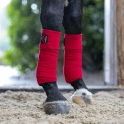 LeMieux Classic Polo Bandages 28 LeMieux Classic Polo Bandages -Farm House Tack Store IT00407 LeMieux.Classic.Polo .Bandages Chilli Lifestyle