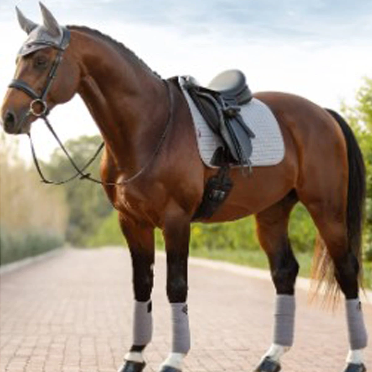 LeMieux Classic Polo Bandages 11 LeMieux Classic Polo Bandages - Image 9