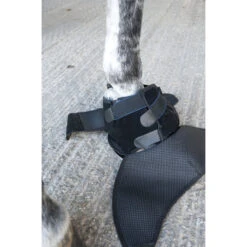 Ice Horse Hoof Ice Boot -Farm House Tack Store Ice Horse Hoof Ice Boot8 10248.1588348476.1280.1280